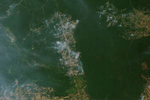 Pożary widoczne z orbity, źródło: NASA